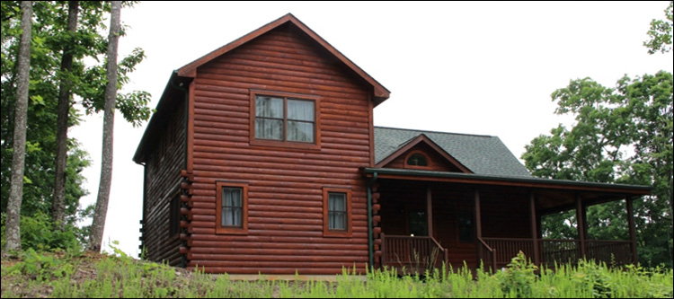 Professional Log Home Borate Application  Ruckersville, Virginia